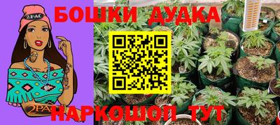 a pvp Ангарск