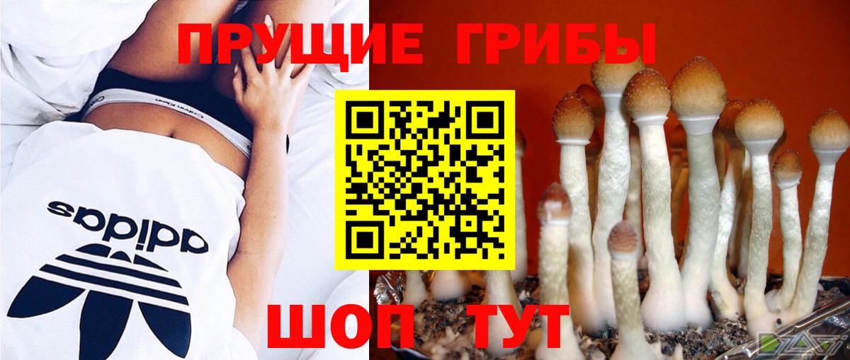 Джанкой  Галлюциногенные грибы мухоморы  Псилоцибиновые грибы Cubensis  Вход с VPN 